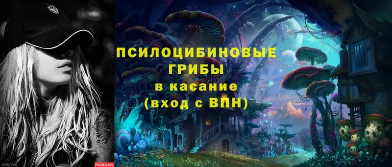 где найти наркотики  сайты даркнета как зайти  Галлюциногенные грибы MAGIC MUSHROOMS  Безенчук 